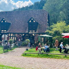 22-09-11 13-41-01 2024